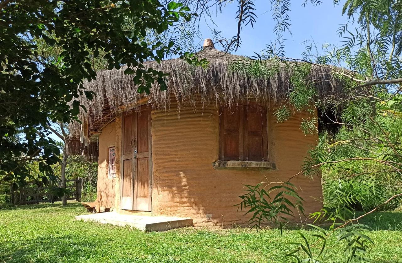 Sitio Monte Alegre Hotel Ibicoara Ngoại thất bức ảnh