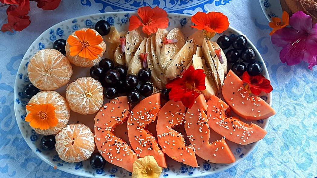 Sitio Monte Alegre Hotel Ibicoara Ngoại thất bức ảnh